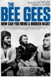 История группы Bee Gees: Как собрать разбитое сердце
